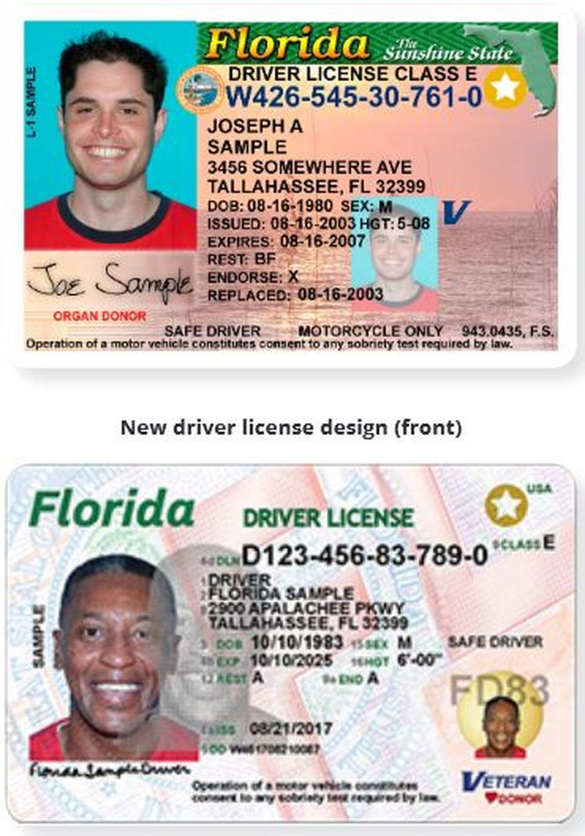 Fl Drivers License Renewal Requirements treelaptop